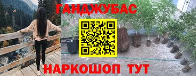 соль ск Можга